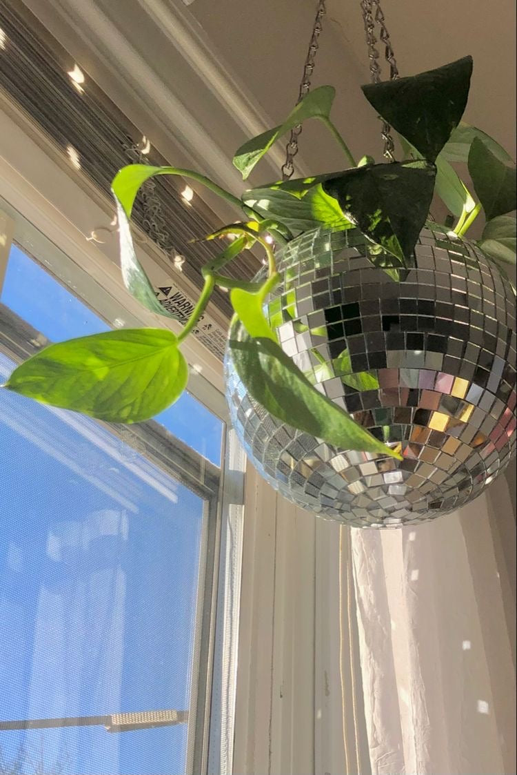 Disco Ball Planter (7 Colours) - Vellum Venture